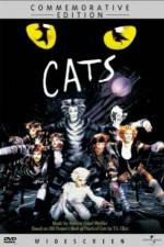 Watch Great Performances Cats Tvmuse