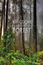 Watch National Geographic Kingdom of the Forest Tvmuse
