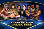 Watch WWE Hall of Fame Tvmuse