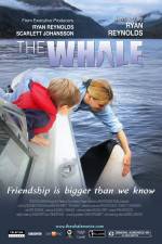 Watch The Whale Tvmuse