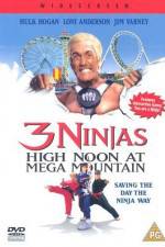 Watch 3 Ninjas High Noon at Mega Mountain Tvmuse