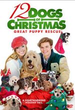 Watch 12 Dogs of Christmas: Great Puppy Rescue Tvmuse