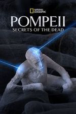 Watch Pompeii: Secrets of the Dead (TV Special 2019) Tvmuse