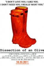 Watch Dissection of an Olive Tvmuse