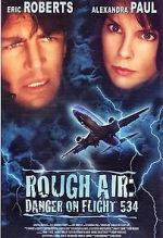 Watch Rough Air: Danger on Flight 534 Tvmuse