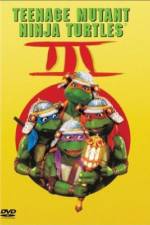 Watch Teenage Mutant Ninja Turtles III Tvmuse