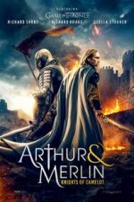 Watch Arthur & Merlin: Knights of Camelot Tvmuse