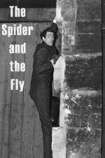 Watch The Spider and the Fly Tvmuse