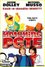 Watch Hatching Pete Tvmuse