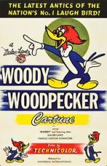 Watch The Woody Woodpecker Polka Tvmuse