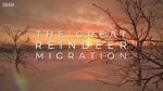 Watch All Aboard! The Great Reindeer Migration Tvmuse