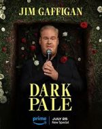 Watch Jim Gaffigan: Dark Pale (TV Special 2023) Tvmuse