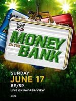 Watch WWE Money in the Bank Tvmuse