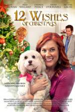 Watch 12 Wishes of Christmas Tvmuse