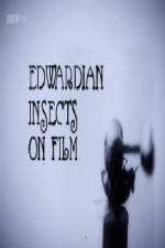 Watch Edwardian Insects on Film Tvmuse