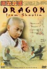 Watch Long zai Shaolin Tvmuse