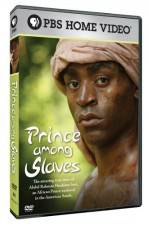 Watch Prince Among Slaves Tvmuse