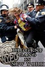 Watch NYPD: Biggest Gang in New York? Tvmuse