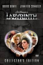Watch Labyrinth Tvmuse