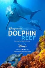 Watch Dolphin Reef Tvmuse