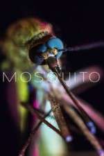 Watch Mosquito Tvmuse