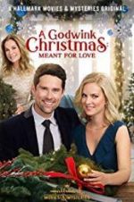 Watch A Godwink Christmas: Meant for Love Tvmuse