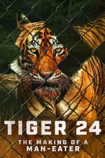 Watch Tiger 24 Tvmuse