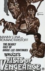 Watch Bruce\'s Fists of Vengeance Tvmuse