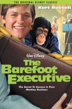 Watch The Barefoot Executive Tvmuse
