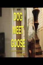 Watch Dog Meet Goose Tvmuse