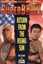 Watch WCW SuperBrawl I Tvmuse