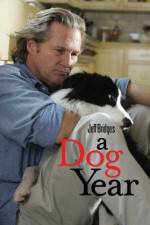 Watch A Dog Year Tvmuse