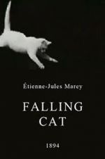 Watch Falling Cat Tvmuse