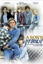Watch A Son's Promise Tvmuse