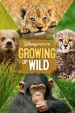 Watch Growing Up Wild Tvmuse
