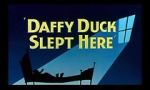 Watch Daffy Duck Slept Here (Short 1948) Tvmuse