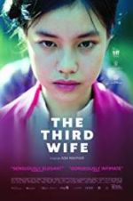 Watch The Third Wife Tvmuse
