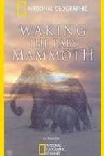 Watch Waking the Baby Mammoth Tvmuse
