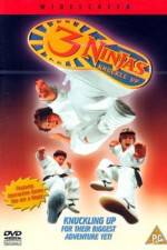 Watch 3 Ninjas Knuckle Up Tvmuse