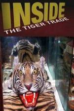 Watch Inside: The Tiger Trade Tvmuse