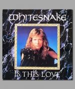 Watch Whitesnake: Is This Love Tvmuse