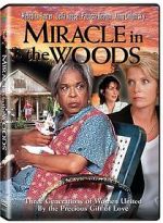 Watch Miracle in the Woods Tvmuse