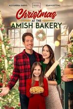 Watch Christmas at the Amish Bakery Tvmuse