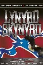 Watch Lynrd Skynyrd: Tribute Tour Concert Tvmuse