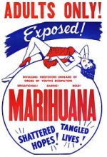Watch Marihuana Tvmuse