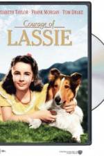 Watch Courage of Lassie Tvmuse