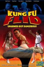 Watch Kung Fu Flid Tvmuse