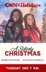 Watch A Sisterly Christmas Tvmuse