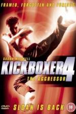 Watch Kickboxer 4: The Aggressor Tvmuse