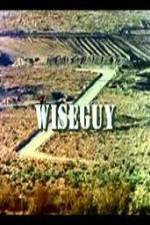 Watch Wiseguy Tvmuse